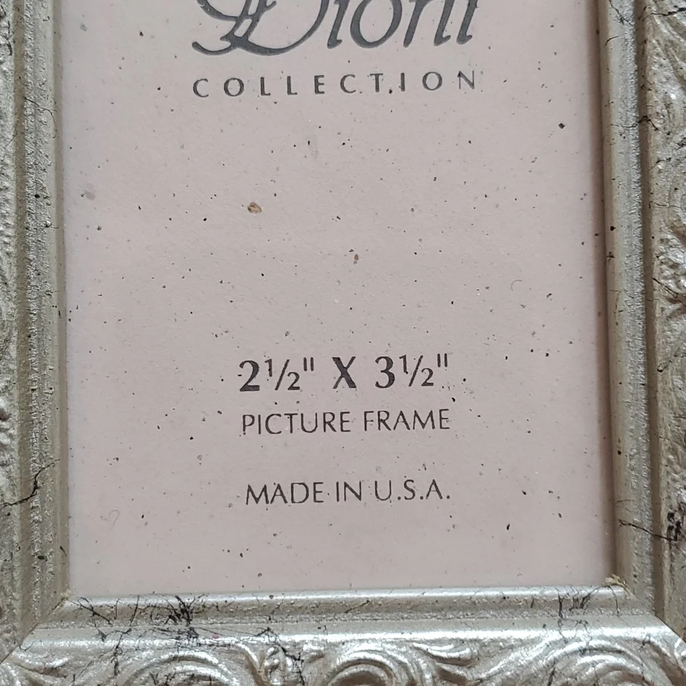 Dioni dining silver